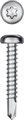 KRAFTOOL DS-P 32 х 4.8 мм, А2, сверло, полукр. головка, ТХ25, саморез нержавеющий, 250 шт (300931-48-032) - фото 526273